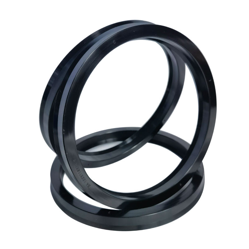 BA type bore shaft dual purpose piston combination seal ring piston rod oil seal