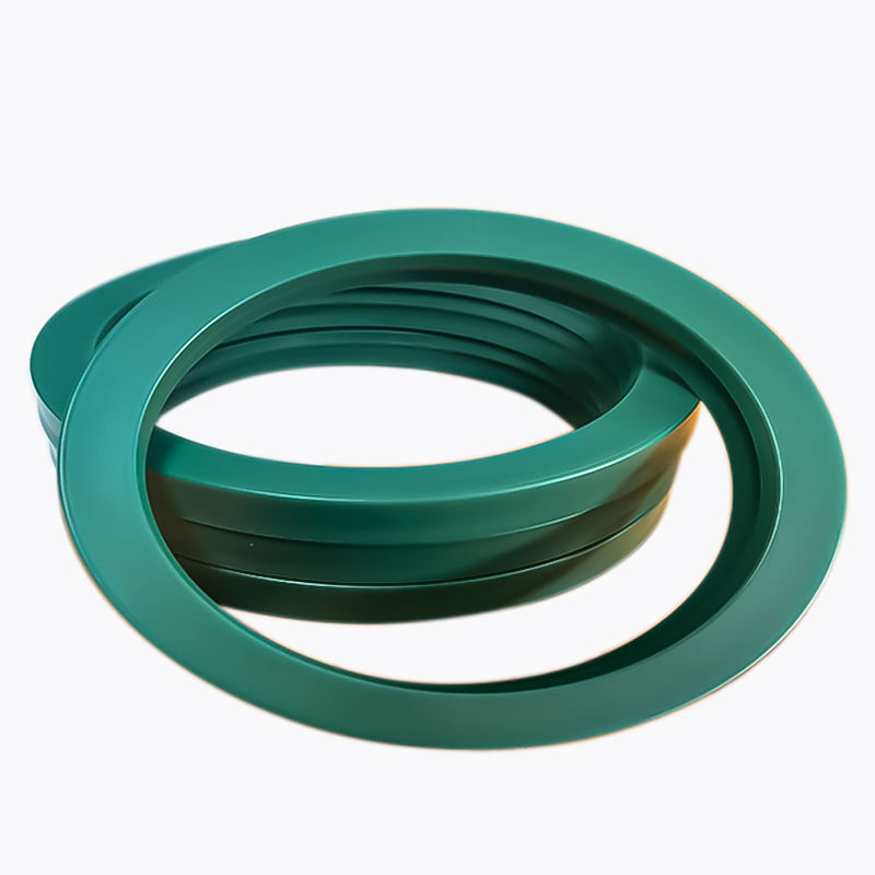 BS series piston rod seal Double seal chun