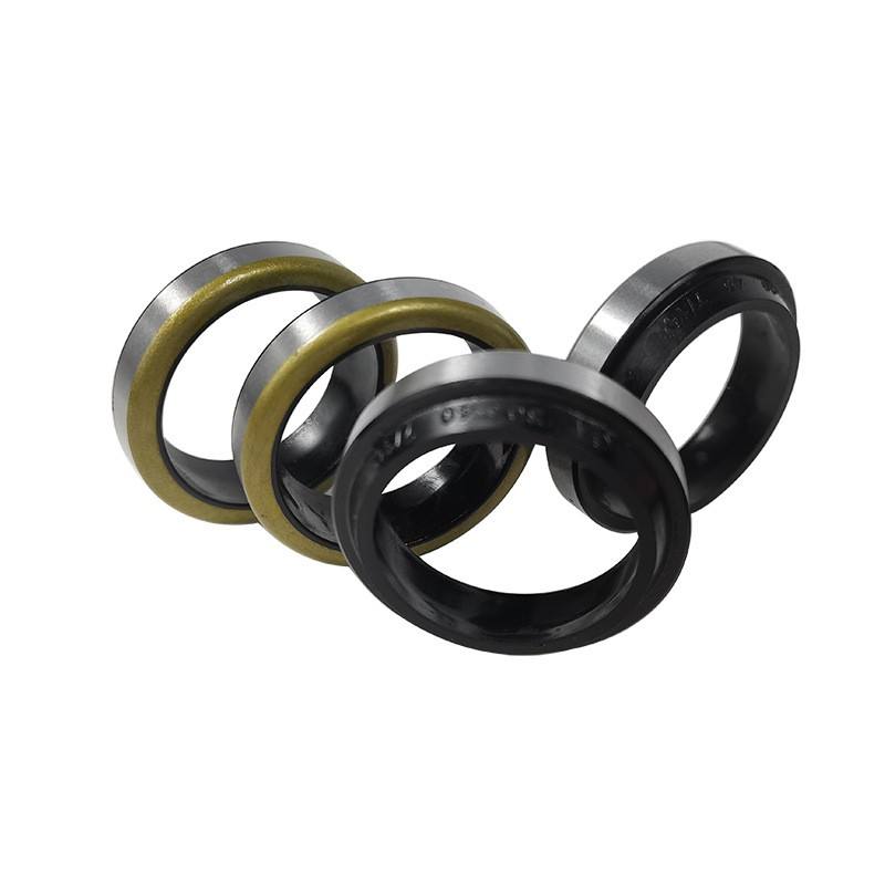 GA DKB outer iron shell skeleton dustproof sealing ring