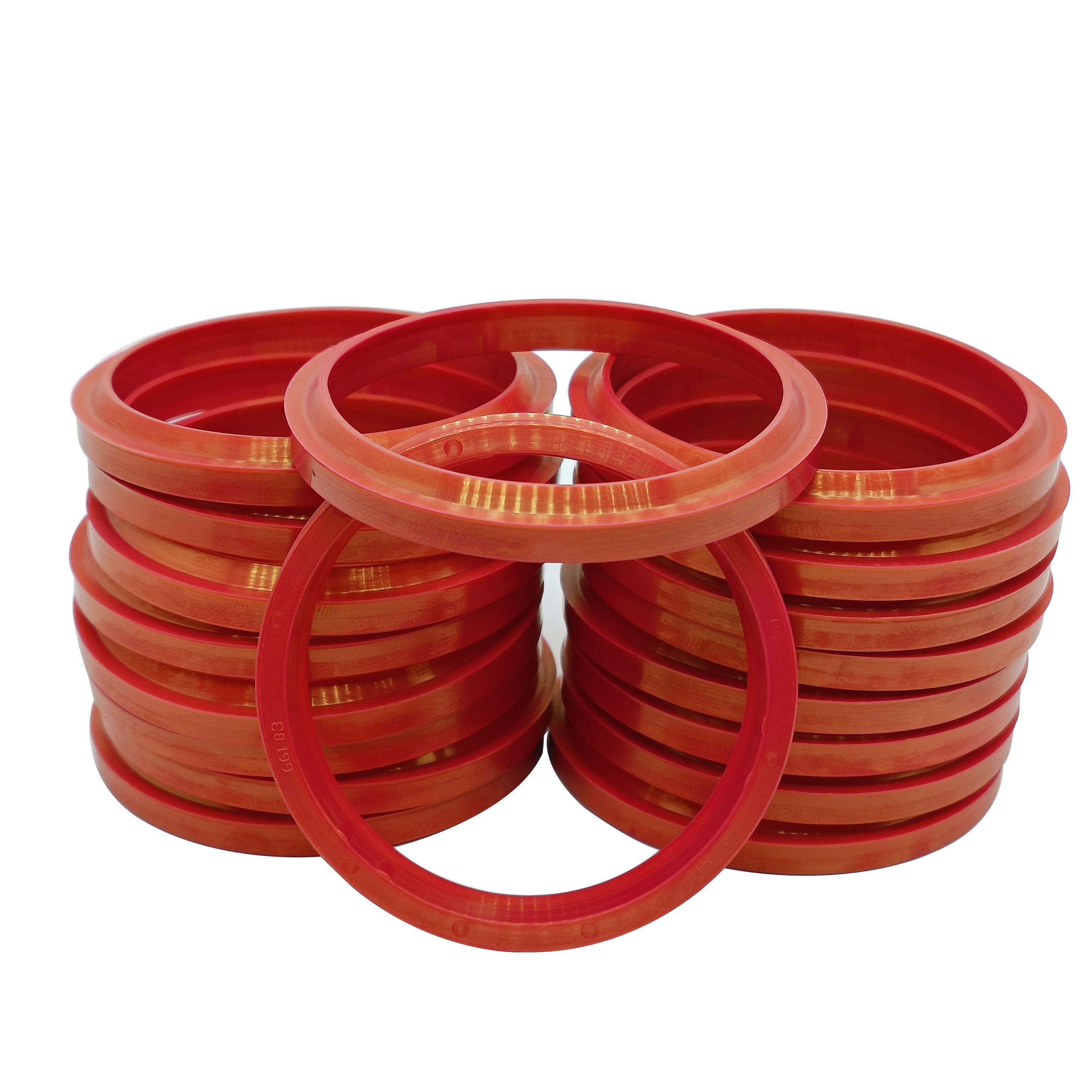 Rod Seals