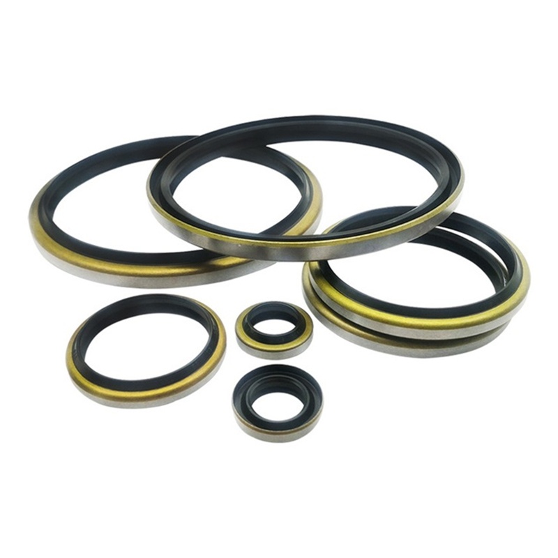 Hydraulic Cylinder NBR+Metal Dustproof Oil Seal Wiper Skeleton DKB DKBI Dustproof Oil Seal